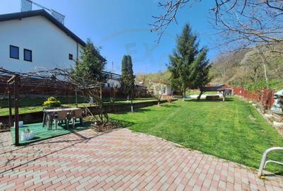 CASA DE VACANTA - UN MIC COLT DE RAI , STEFANESTI, ARGES CASA DE VACANTA - UN MIC COLT DE RAI , STEFANESTI, ARGES - 3