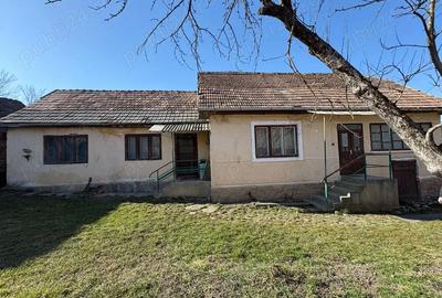 Casă cu 4 camere cu Teren 1250 Mp în Valea Crișului