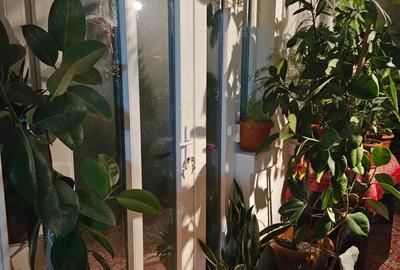 Casă cu 2 camere în Hărău - 5