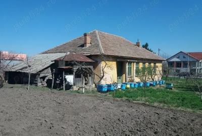 Vand Casa Maglavit -Calea Severinului - 3