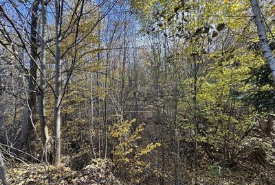 TEREN INTRAVILAN 13167 MP BUGHEA DE SUS ARGES - 7