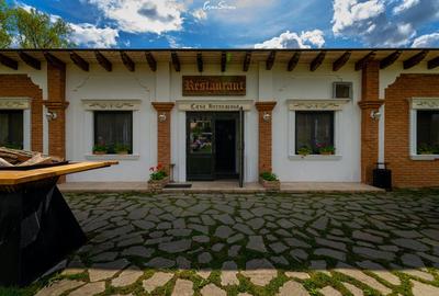 Proprietate specială, de 1,537,099 mp, în Herneacova - 6