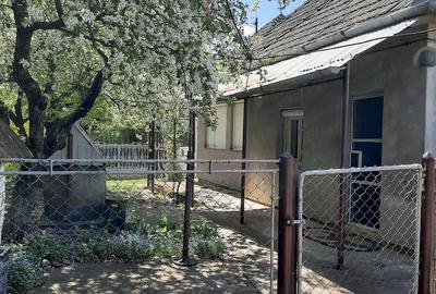 Casă cu 3 camere cu Teren 1350 Mp în Sărmașu - 3