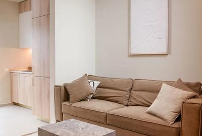 Apartament 2 camere cu gradina privata si parcare Theodor Pallady - 10