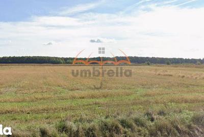 Teren de 6700 mp, în Satulung - 1