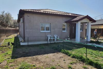 Casa de vacanta | Curte | Teren | Belciugatele | Calarasi - 21