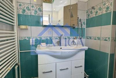 Apartament cu 3 camere decomandat, mobilat în Brotăcei - 7