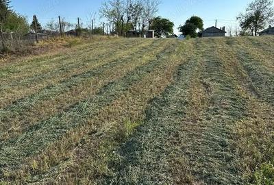 Casă cu 6 camere cu Teren 2000 Mp în Tătăranu - 7