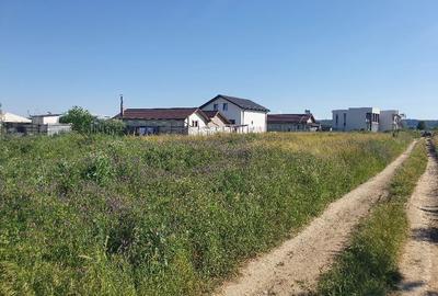 Spațiu comercial, în Mofleni - 6