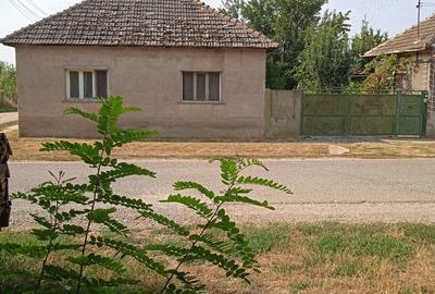 Vand casa la tara - 2