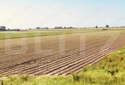 Teren de 30000 mp, în Central