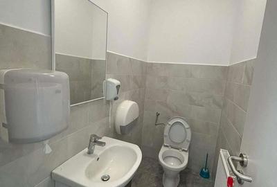 Birouri, spre inchiriere, in Parcul Industrial - Targu Mures - 3