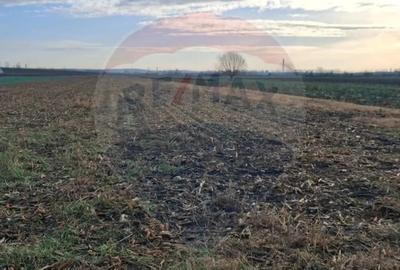 Teren în Sântion - 3