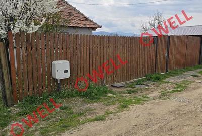 Casă cu Teren 1493 Mp în Ozun - 14