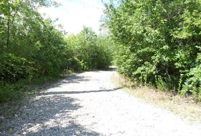 Teren intravilan in Boldesti Scaeni, Prahova, 7410 mp - 4