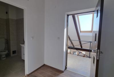 Casa Pensiune in Viile Satu Mare teren 1,63 ha, 11 camere, 10 bai - 20