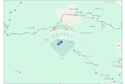 Teren de 73946 mp, în Șinteu - 3
