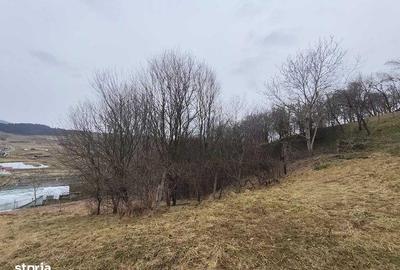 Teren de 5000 mp, în Sic - 6