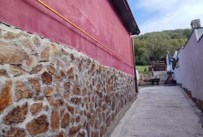Vand casa in Cara? Severin Re?i?a - 5