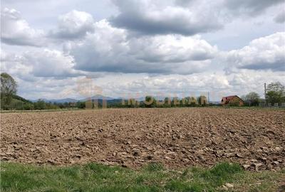 Teren intravilan in Razoare - 5