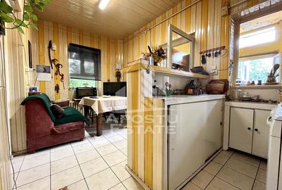 Casă cu 5 camere cu Piscina în Elisabetin - 6