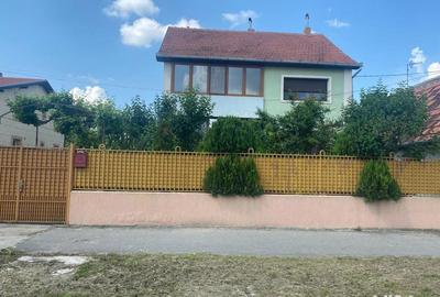 Casă cu 5 camere în Jimbolia - 2