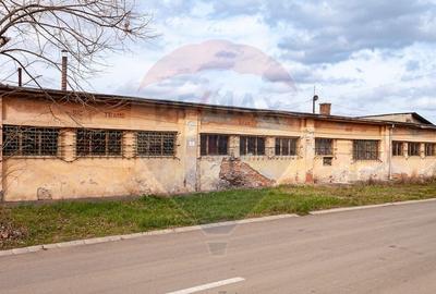 Teren industrial  2728 Mp Arad / Strada Eftimie Murgu - 4