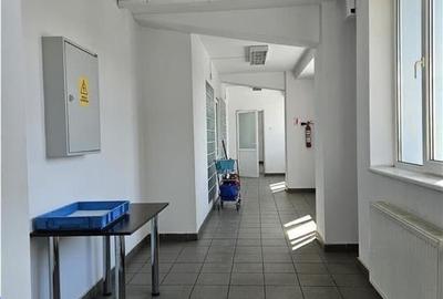 Exclusivitate - Proprietate Industriala De Inchiriat - Productie - Depozitare - 20