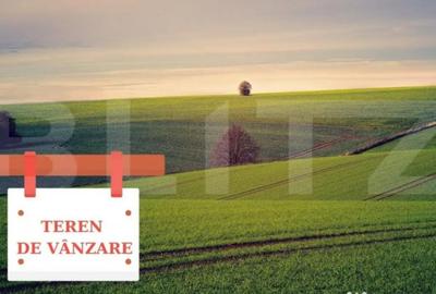 Teren de 125000 mp, în Central