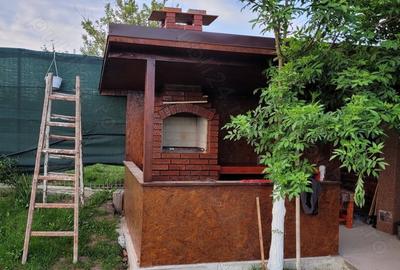 Casă cu 2 camere cu Teren 2100 Mp în Valea Bujorului - 2