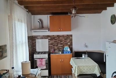 Casa de vanzare comuna Balin?,sat Bodo,jud.Timi? - 6