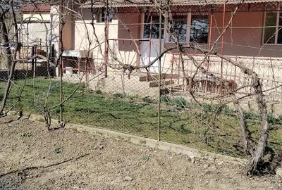 Casă cu 2 camere cu Teren 560 Mp în Morești - 4