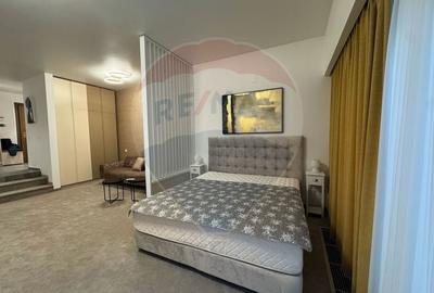 Apartament cu 1 camere, mobilat în Drumul Poienii - 4