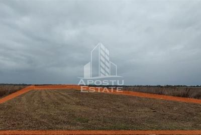 Teren Zadareni proiect spalatorie auto/spatii comerciale - 4