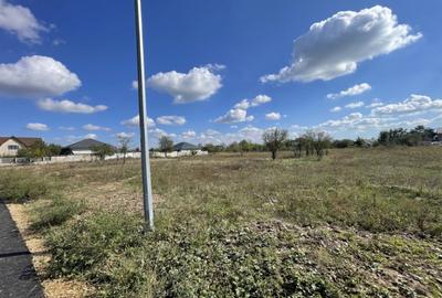 Domne?ti, Str Teiului, 515mp, intravilan, utilita?i, 29ml - 3