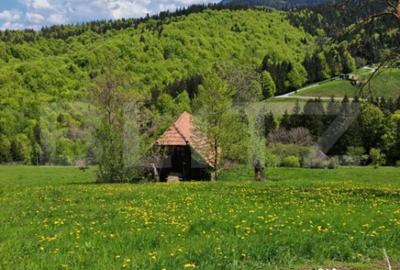 Teren de 3400 mp, în Bran - 4