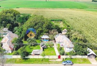 Teren Construcții intravilan de 9126 mp, în Ghigoiești - 1