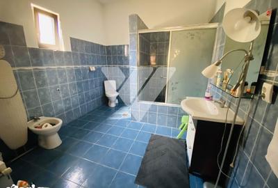 Casă cu 4 camere cu Canalizare în Șura Mare - 12