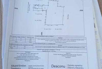 Casă cu 5 camere cu Teren 3330 Mp în Caracal - 2