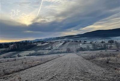 RECO teren Vadu Crisului - 3