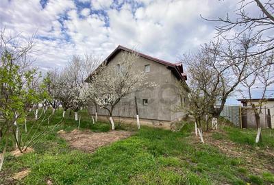 RECO Casa cu teren in Alparea 13km de Oradea - 9