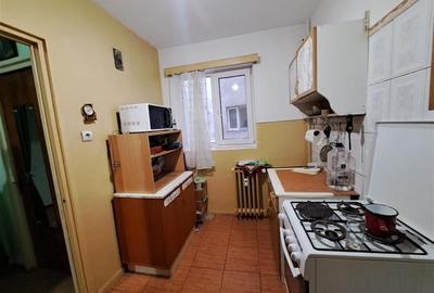 Vanzare apartament 3 camere Tineretului - 8