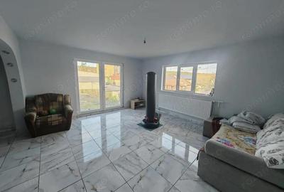 Constructie S+P+1E+M si teren generos 2014 mp, I.L. Caragiale, Dambovita - 14