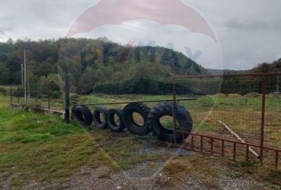 Teren Construcții intravilan de 12095 mp, în Avram Iancu (Vârfurile) - 2