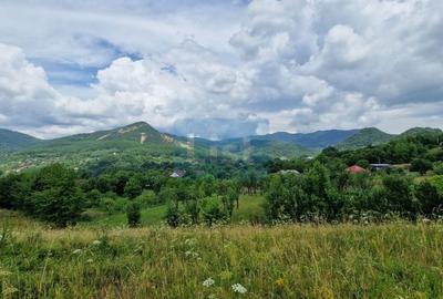 Teren Construcții intravilan de 5268 mp, în Central - 3