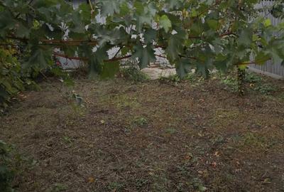 Casă cu 3 camere în Ciorani - 8