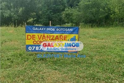 Teren intravilan 1734 mp. Ipotesti langa padure si lac! Teren intravilan 1734 mp. Ipotesti langa padure si lac! - 7
