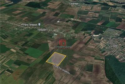 Teren de 235000 mp, în Tărtășești - 3