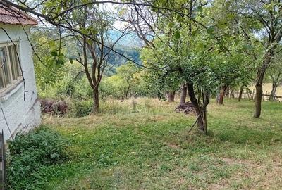 Teren de 50 mp, în Central - 7