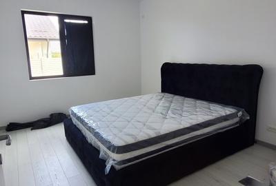 Single in Teghes, 3 camere, teren 330 mp-Proprietar! - 5